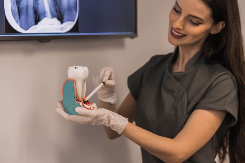 a female dentist holding root canal dental module at Newport Beach Dental Solutions